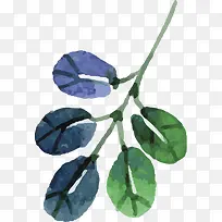 ��Ӱ�ֻ溣��ֲ��Ҷ��-������