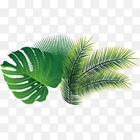 摄影手绘海报小清新植物粽叶-空若网 摄影手绘海报小清新植物粽叶-空若网