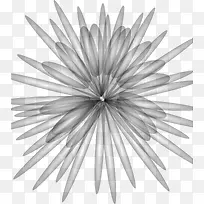 ��Ӱ��ɫ������ƺ���ͼ-������