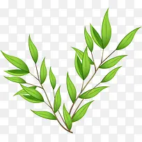 摄影手绘绿色植物树叶-空若网 摄影手绘绿色植物树叶-空若网