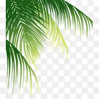 摄影手绘叶子沙滩树-空若网 摄影手绘叶子沙滩树-空若网