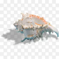 ��Ӱ����ɳ̲���߱���-������