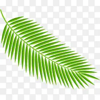 摄影手绘绿色叶子效果-空若网 摄影手绘绿色叶子效果-空若网