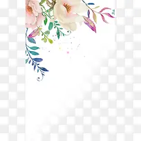 ��ӰС���»������ͼ-������