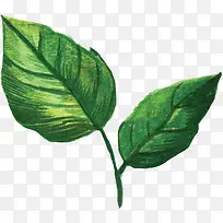 摄影手绘立体插画树叶-空若网 摄影手绘立体插画树叶-空若网