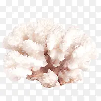 ��Ӱ���պ���ɺ��-������