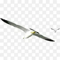 ��Ӱ���߷������Ч��-������