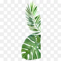 ��Ӱ�ֻ�廭��Ҷͼ-������