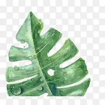 摄影手绘海报树叶植物效果-空若网 摄影手绘海报树叶植物效果-空若网