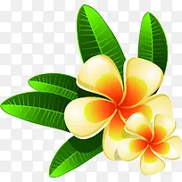 摄影手绘立体海报花朵-空若网 摄影手绘立体海报花朵-空若网