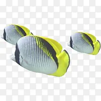 摄影海报海底鱼夏日-空若网 摄影海报海底鱼夏日-空若网