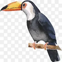 ��Ӱ�����ֻ���ѻЧ��-������