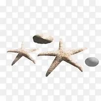 ��Ӱ�������纣��Ч��-������