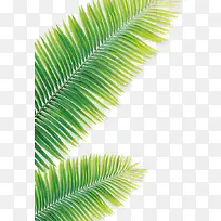 ��Ӱ�ֻ������ҶЧ��ͼ-������