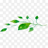 ��Ӱ�ֻ���ɫ��Ҷֲ��-������