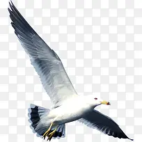 ��Ӱ��Ÿ���躣��Ч��ͼ-������