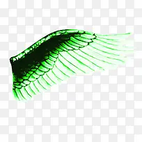 摄影效果翅膀效果-空若网 摄影效果翅膀效果-空若网