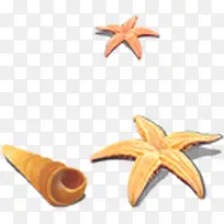 摄影手绘海星设计-空若网 摄影手绘海星设计-空若网