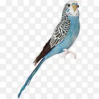 ��Ӱ���պ���С��-������