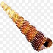 摄影多圆海螺沙滩-空若网 摄影多圆海螺沙滩-空若网