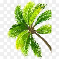 ��Ӱֲ����ҶЧ��-������