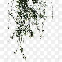 ��Ӱ�ֻ���Ҷ�ֻ�-������