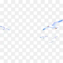 摄影手绘白色和平鸽设计-空若网 摄影手绘白色和平鸽设计-空若网