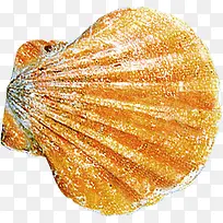 夏日黄色贝壳海报摄影-空若网 夏日黄色贝壳海报摄影-空若网