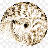 摄影沙滩海报贝壳-空若网 摄影沙滩海报贝壳-空若网