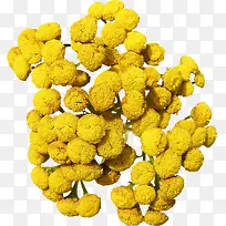 食品蔬菜素材-空若网 食品蔬菜素材-空若网