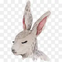 卡通可爱小动物装饰动物头像-空若网 卡通可爱小动物装饰动物头像-空若网