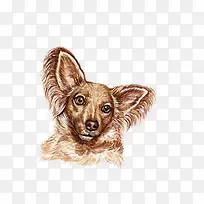 卡通可爱小动物装饰设计动物头像-空若网 卡通可爱小动物装饰设计动物头像-空若网