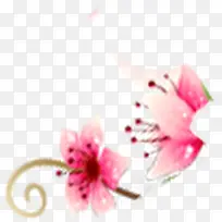 节日花朵促销电商-空若网 节日花朵促销电商-空若网