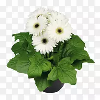 ����ʿ�߳����л���������-������