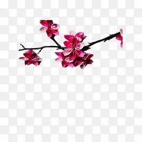 ӣ������֦-������