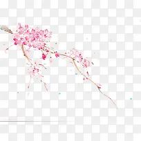 粉色樱花-空若网 粉色樱花-空若网