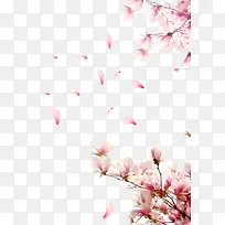 ӣ����֦-������