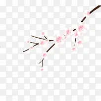 樱花装饰-空若网 樱花装饰-空若网