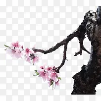 ӣ��-������