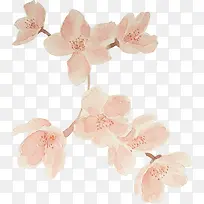 ��֦�ϵ�ӣ��-������