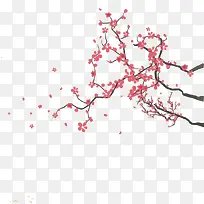 手绘樱花树枝素材-空若网 手绘樱花树枝素材-空若网