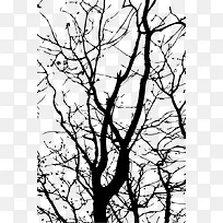 矢量手绘树枝-空若网 矢量手绘树枝-空若网