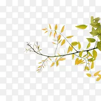 绿色清新树枝装饰图案-空若网 绿色清新树枝装饰图案-空若网