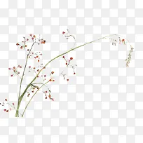 花枝-空若网 花枝-空若网