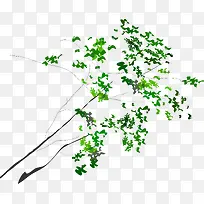 ʸ���ֻ���֦-������