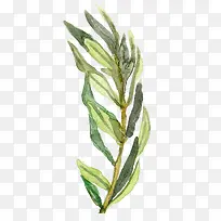 �ֻ���֦-������