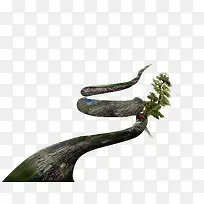 树枝-空若网 树枝-空若网