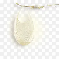 树枝上的网袋-空若网 树枝上的网袋-空若网