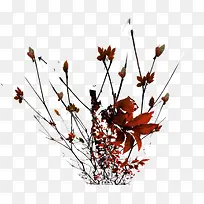 树枝-空若网 树枝-空若网