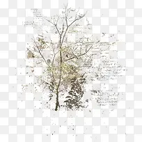 Ư��������֦-������